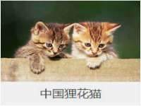 上海而萨而网络科技有限公司
