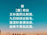 上海而萨而网络科技有限公司