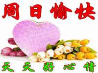 上海而萨而网络科技有限公司