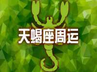 上海而萨而网络科技有限公司